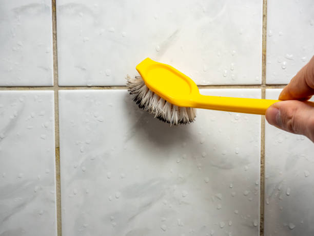 Best Mold Removal and Inspection  in Corsicana, TX