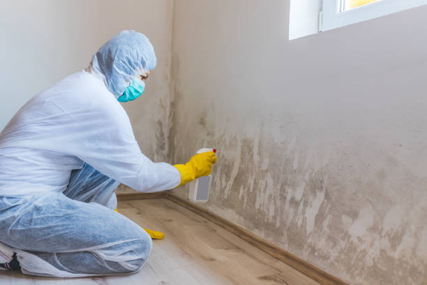 Best Toxic Mold Removal  in Corsicana, TX