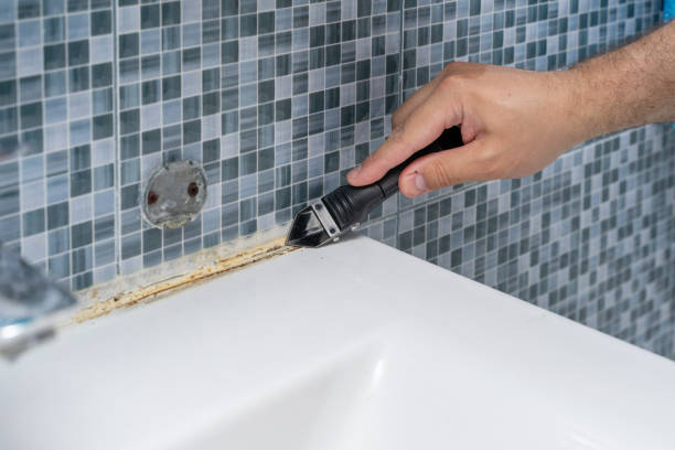 Best Mold Remediation Experts  in Corsicana, TX