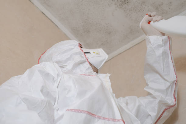 Best Office Mold Removal Services  in Corsicana, TX