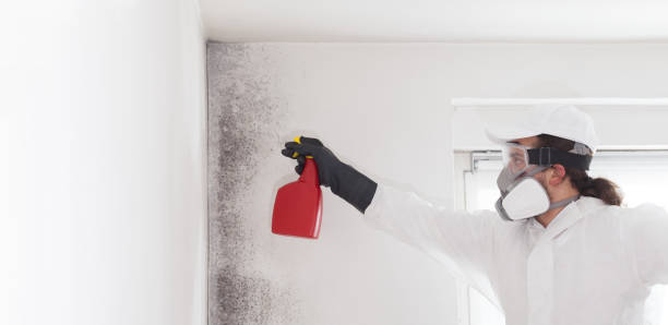 Best Residential Mold Removal  in Corsicana, TX