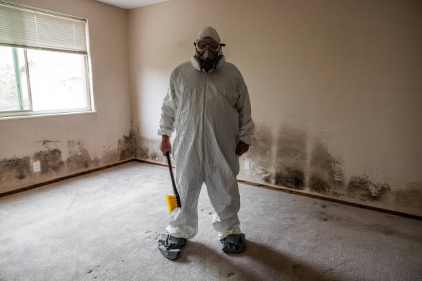 Best Commercial Mold Removal  in Corsicana, TX